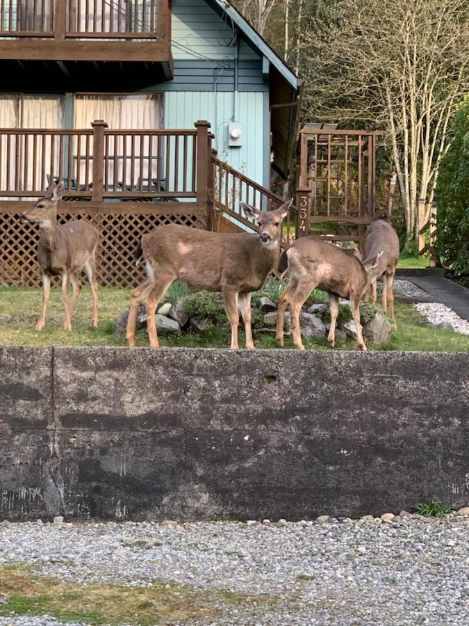 Seas The Day House 5 Star Hottub Pets Bbq Fire Premier Location Hotel Gibsons Exterior photo